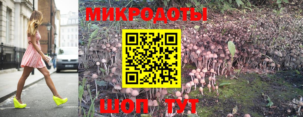 Псилоцибиновые грибы Psilocybe Набережные Челны